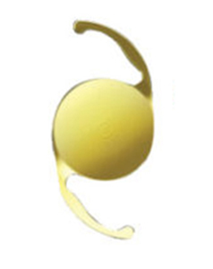 Multifocal Lens Image